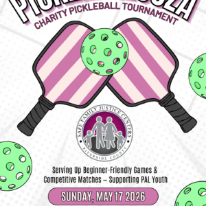 Pickleball Flyer for PicklePALooza