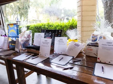 SAFE Futures Celebration Casino Night - March 14, 2026